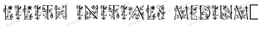 Lilith Initials Medium字体转换